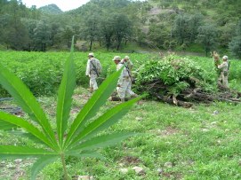 1269412715_339672c3e7_o